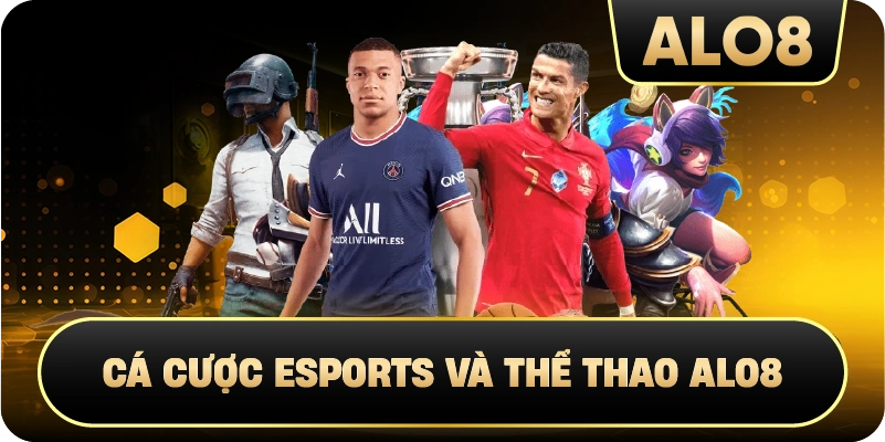 Cá cược eSports và thể thao Alo8