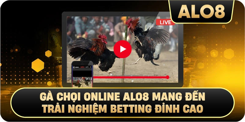 Gà Chọi Online Alo8 Mang Đến Trải Nghiệm Betting Đỉnh Cao