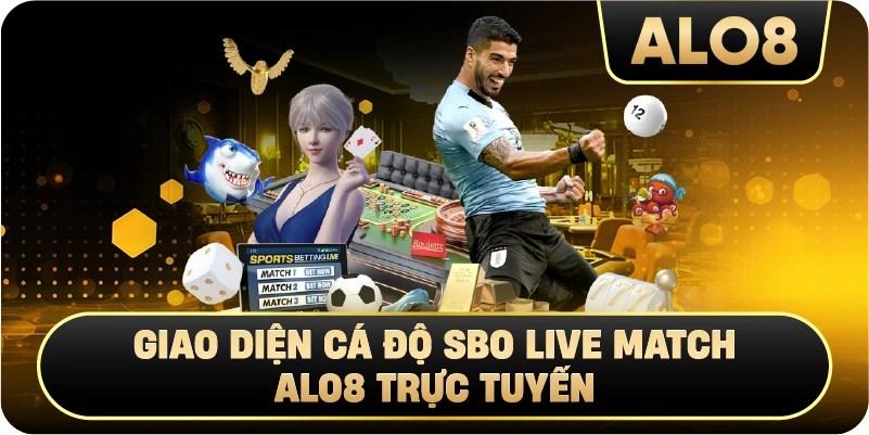 Giao diện cá độ SBO Live Match Alo8 trực tuyến